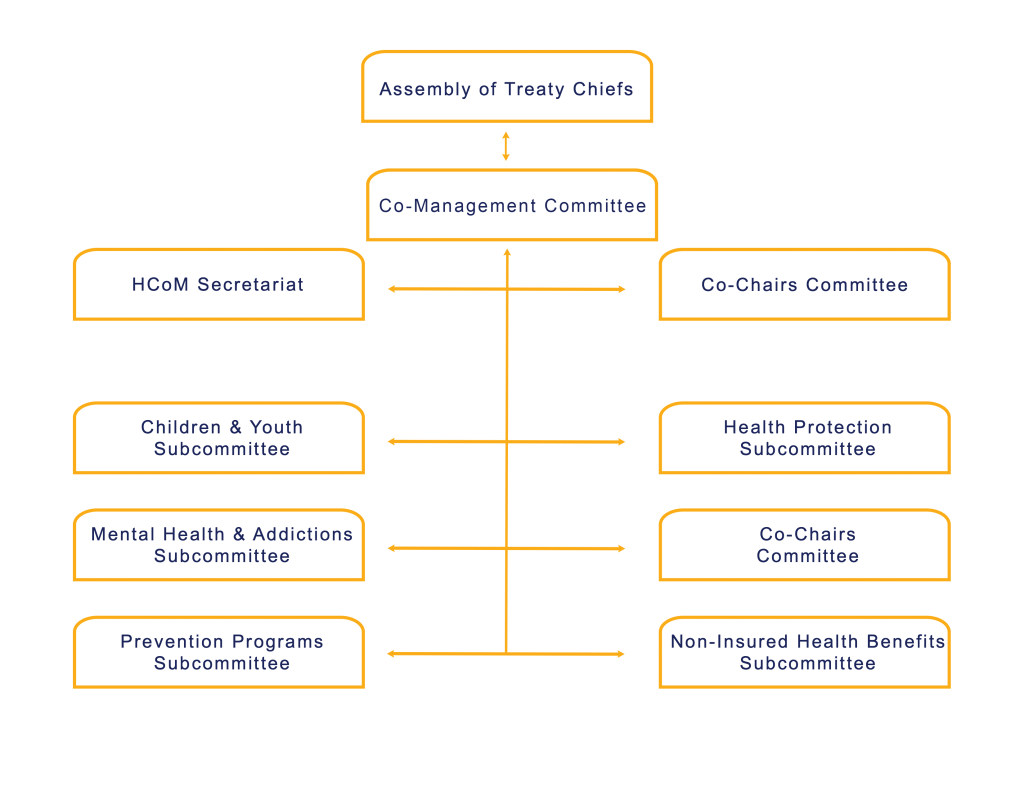 ABOUT US – HCoM