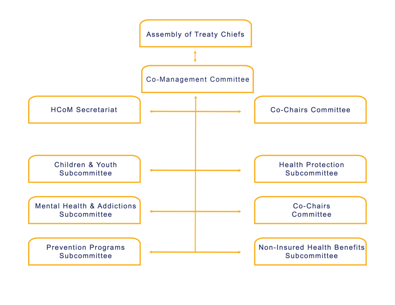 ABOUT US – HCoM